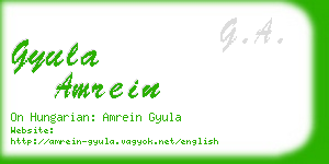 gyula amrein business card